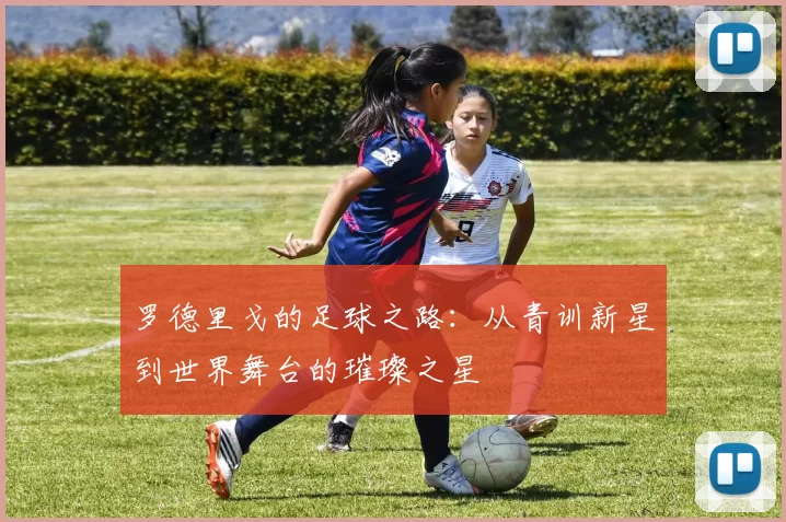 罗德里戈的足球之路：从青训新星到世界舞台的璀璨之星