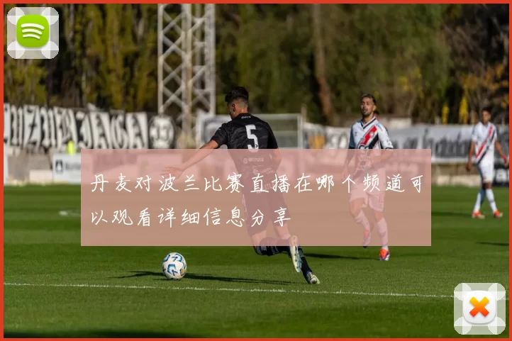 丹麦对波兰比赛直播在哪个频道可以观看详细信息分享